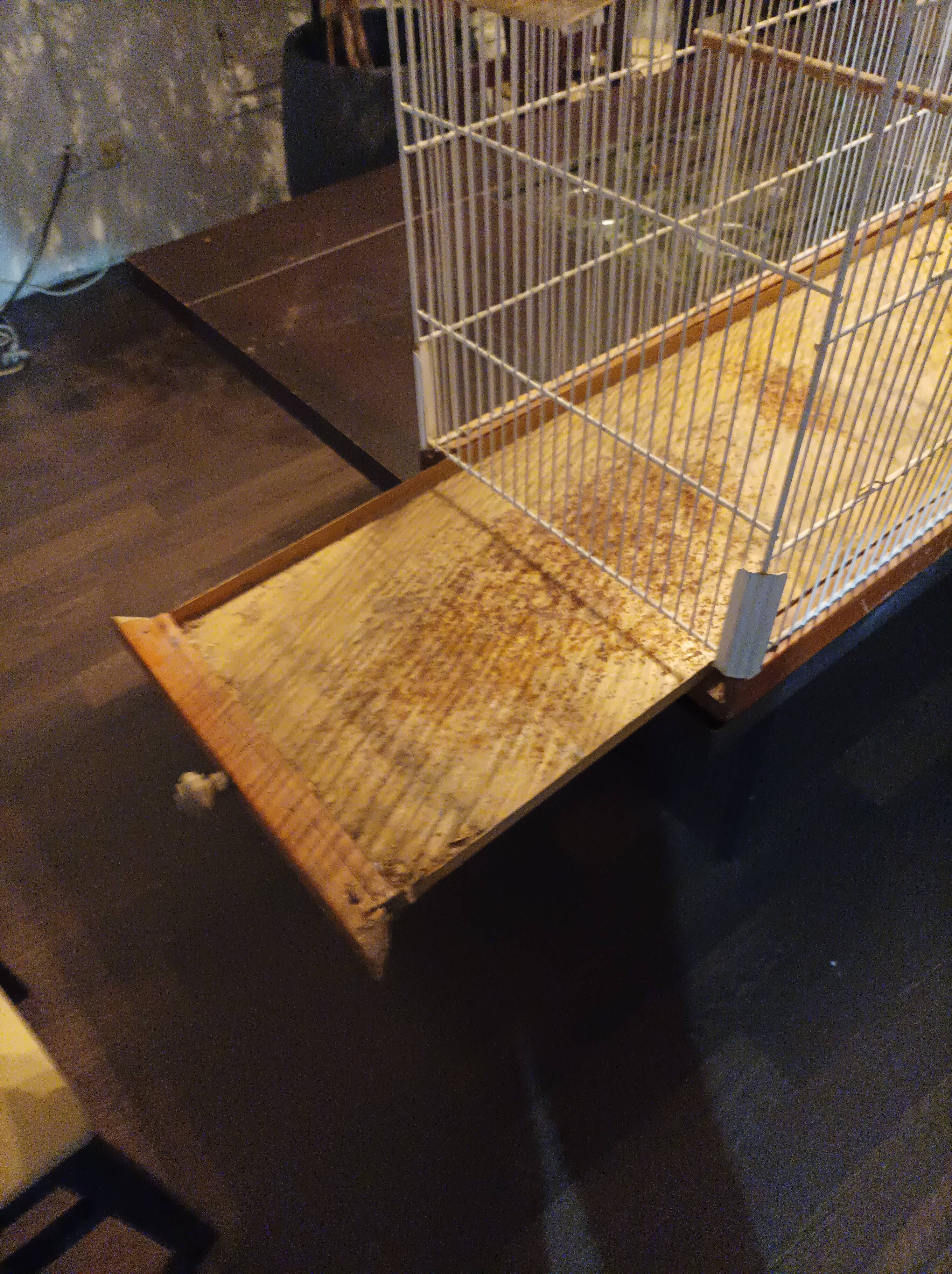 Large old restored bird cage