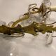 Brass Crystal Sconces Set of 2 1950’s