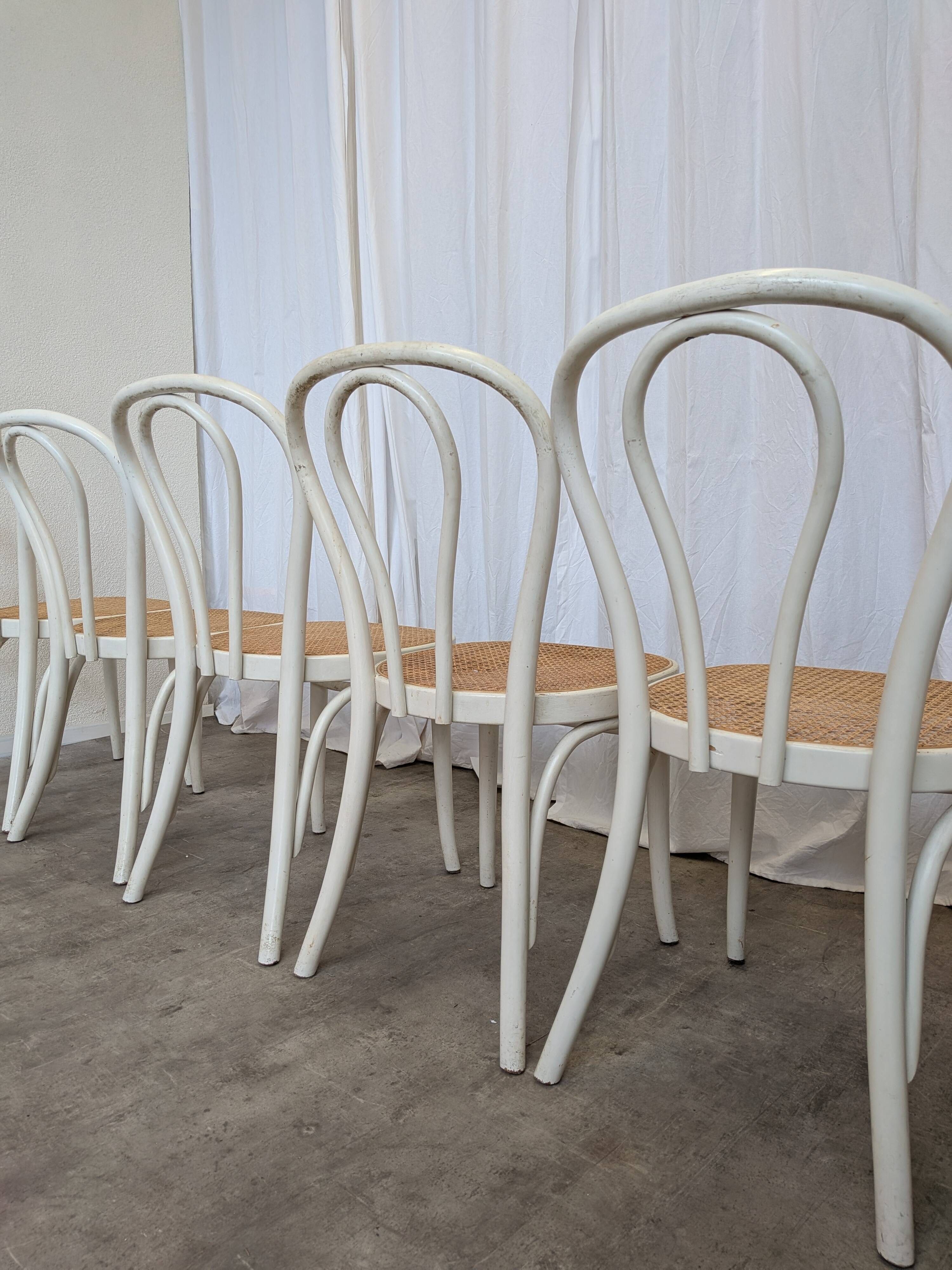 Ensemble de 6 chaises de salle à manger vintage de style Thonet : bois blanc et assise en cannage.