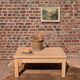 Light oak coffee table