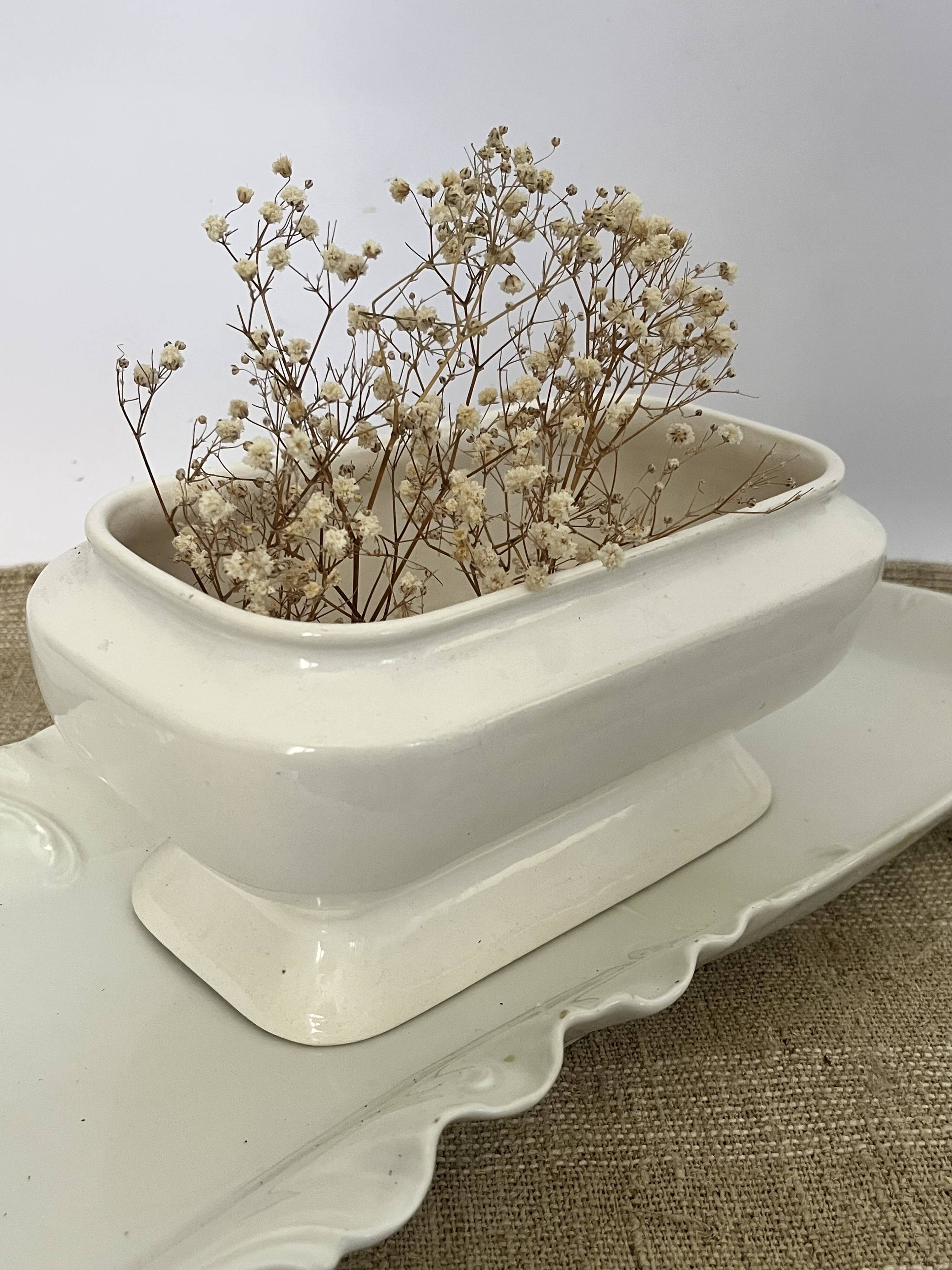 Bowl, planter, centrepiece, white porcelain