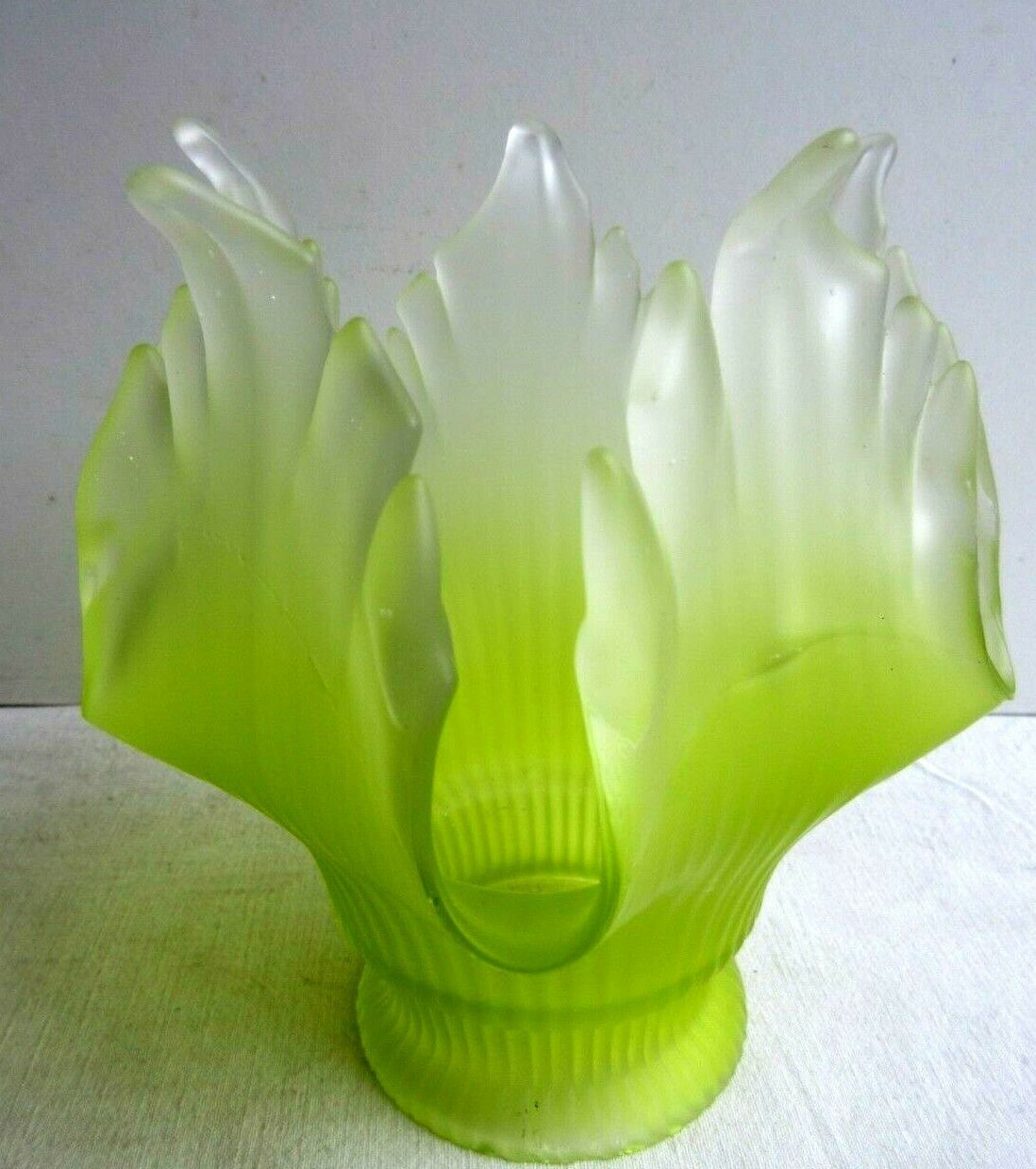 Tulipe à griffe en verre vert anis dégradé, fleur à 5 pétales découpés