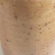 Pitcher sandstone pyrity vintage
