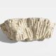 Sculptural White Coral Fossil, Organic Modern Decor from South Asia