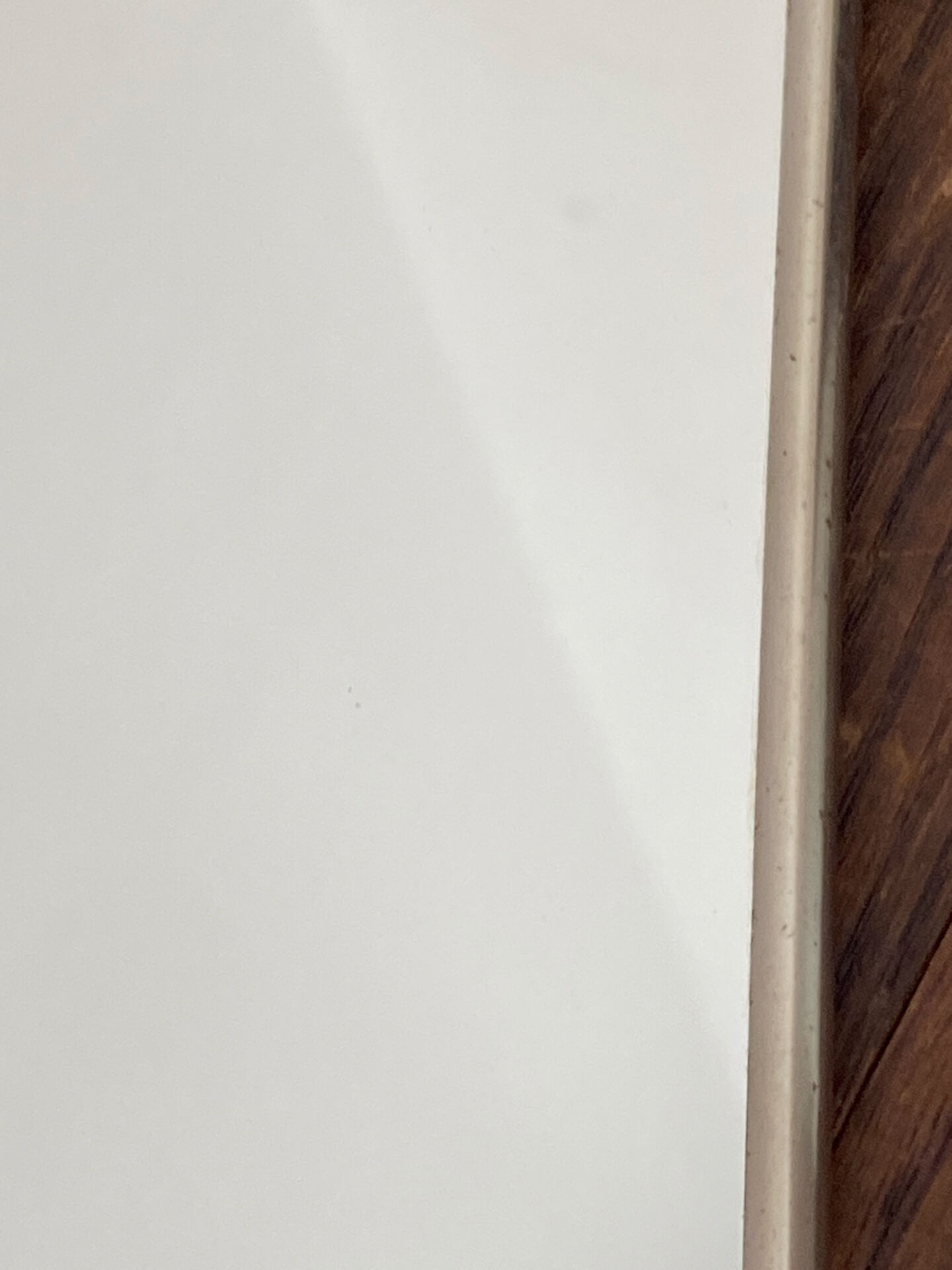 Silver-plated wall-mounted barber mirror