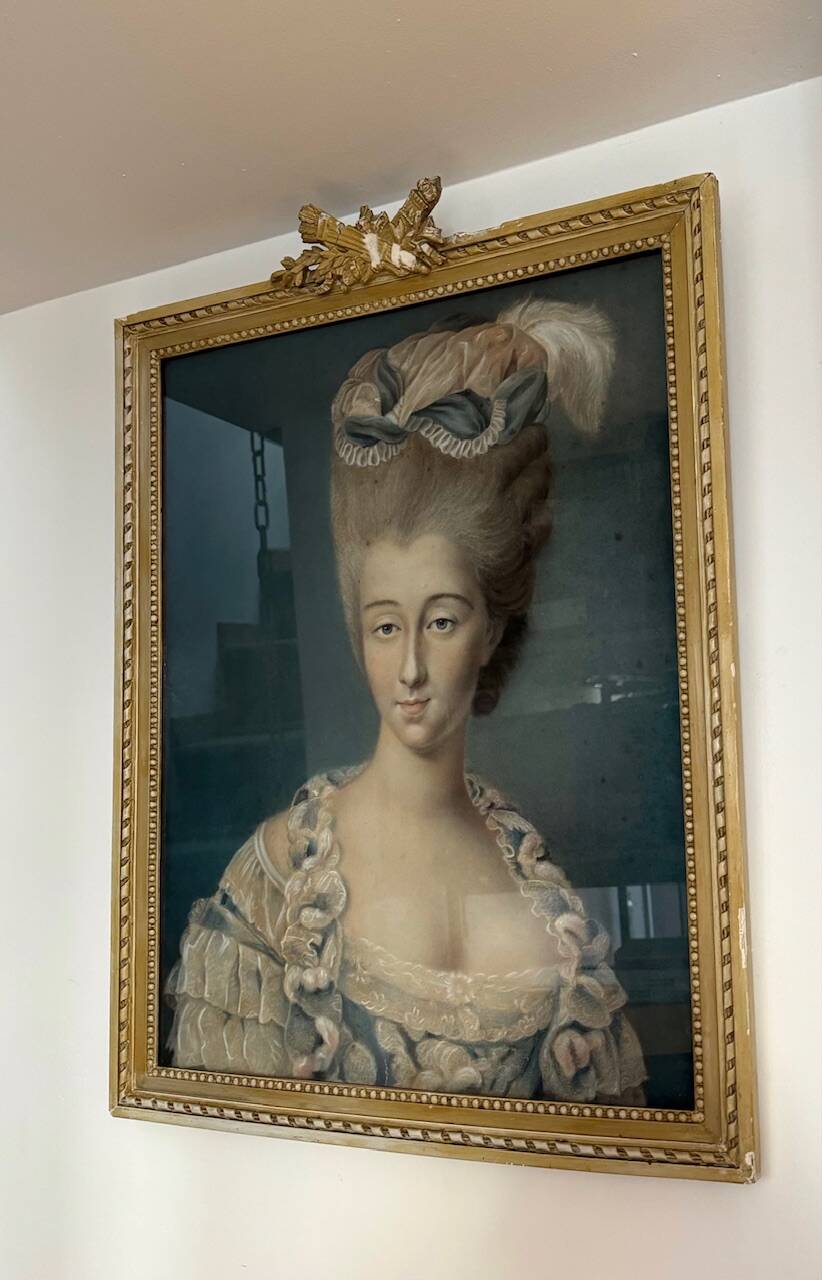 Portrait of an elegant 19th century woman