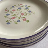 Flat plates mill wolves