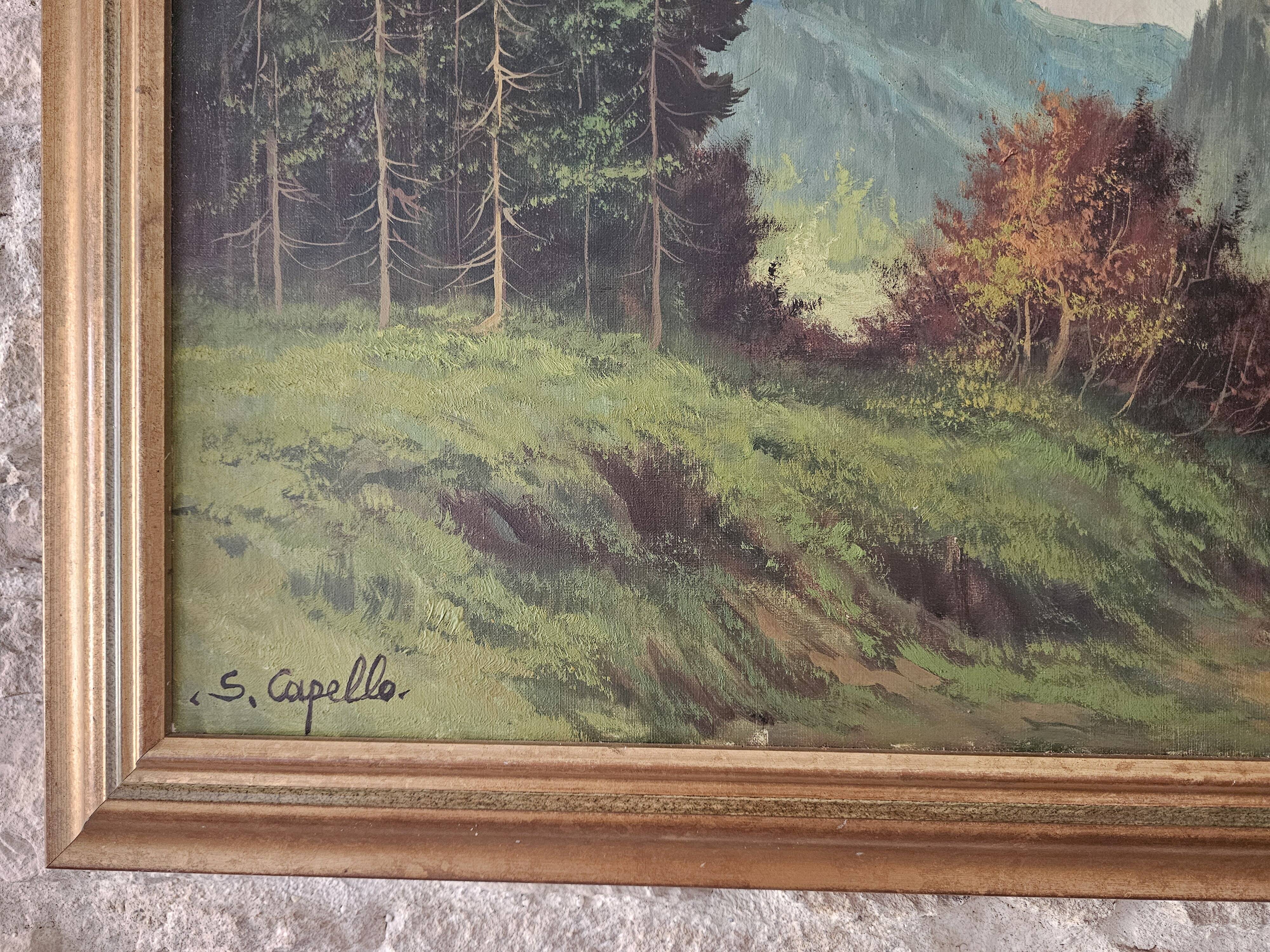 Oil Painting on Canvas Mountain Landscape Forest Vosges Signed S Capello
