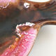 Empty pocket vintage ceramic fish