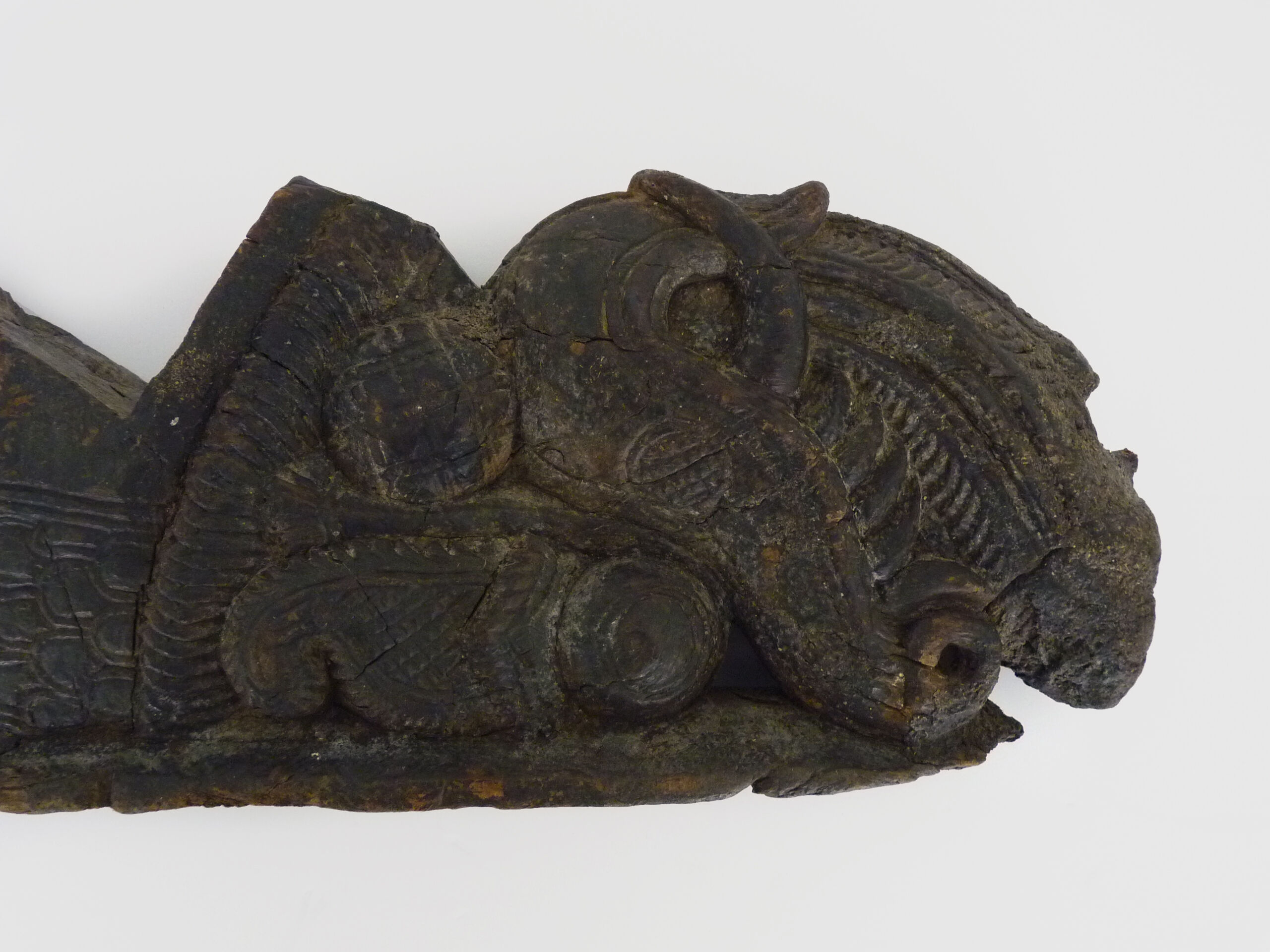 Piece of Indonesian wooden basrelief, chameleon. XIXth