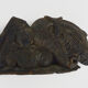 Morceau de bas relief indonésien en bois, caméléon. XIXème