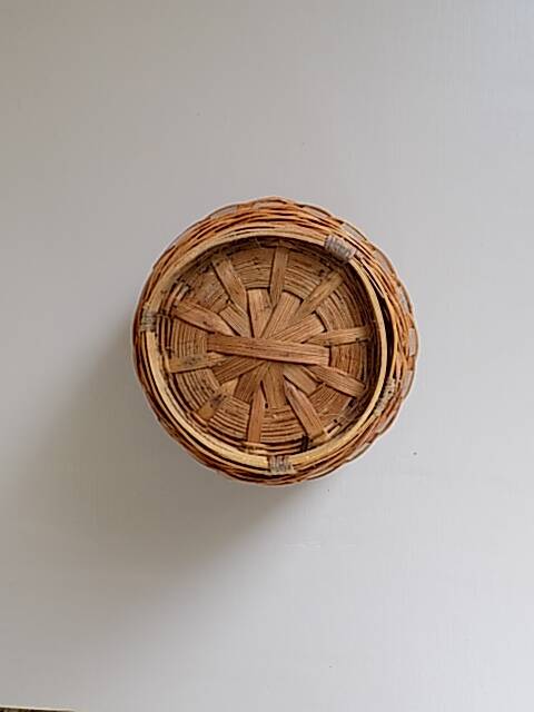 Small rattan plant pot