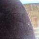 Fauteuil style directoire velours marron