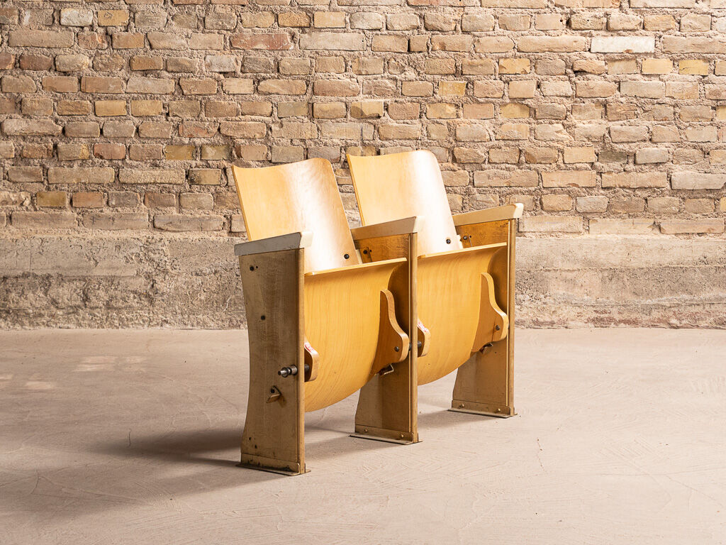 Pair of cinema folding seats