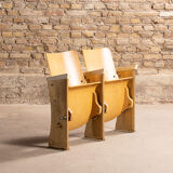 Pair of cinema folding seats