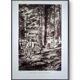 Skiers in the Hohwald, photo print from 1942.