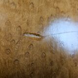 Art decò sideboard in thuja and walnut