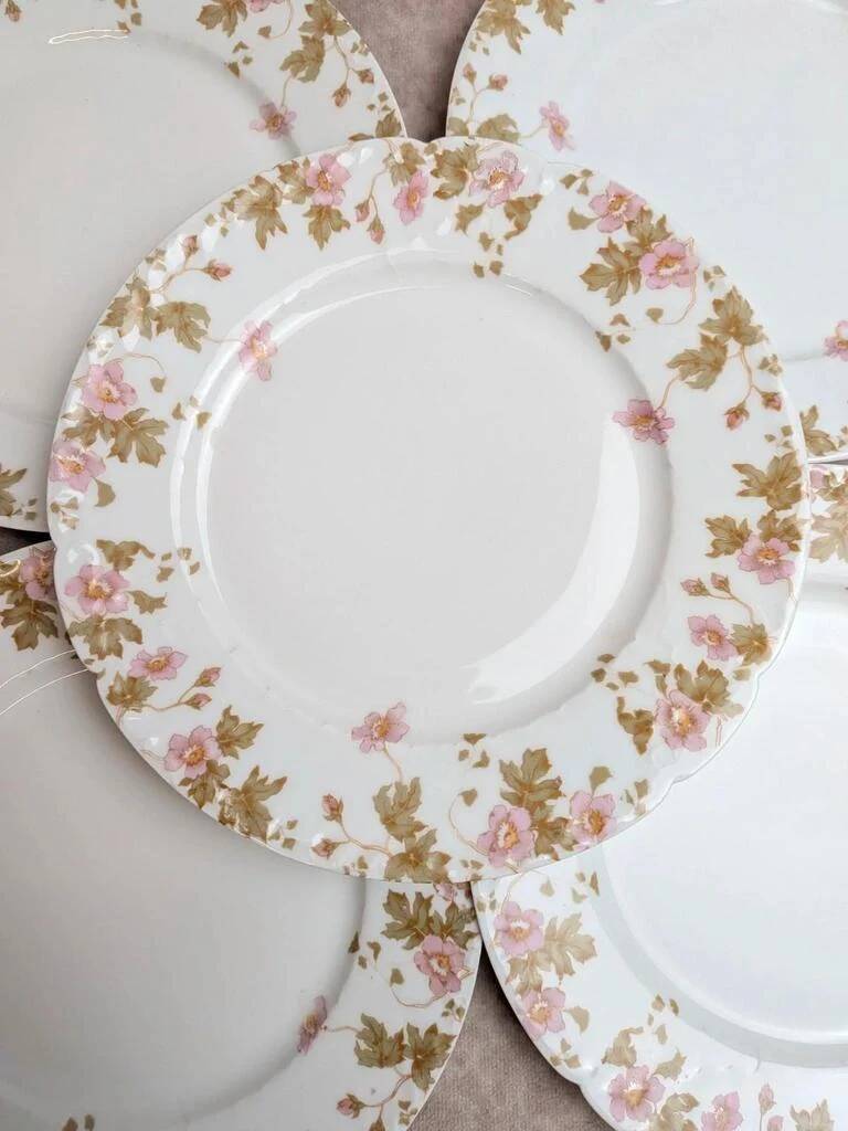 Set of 6 vintage French porcelain plates – pink floral design