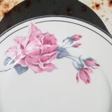 6 porcelain plates