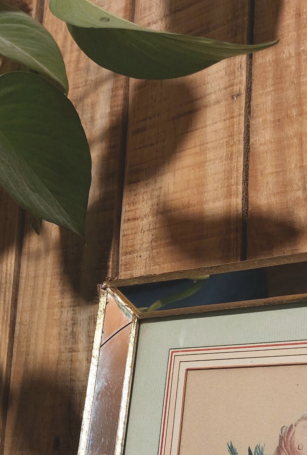 Flower print and period mirror frame