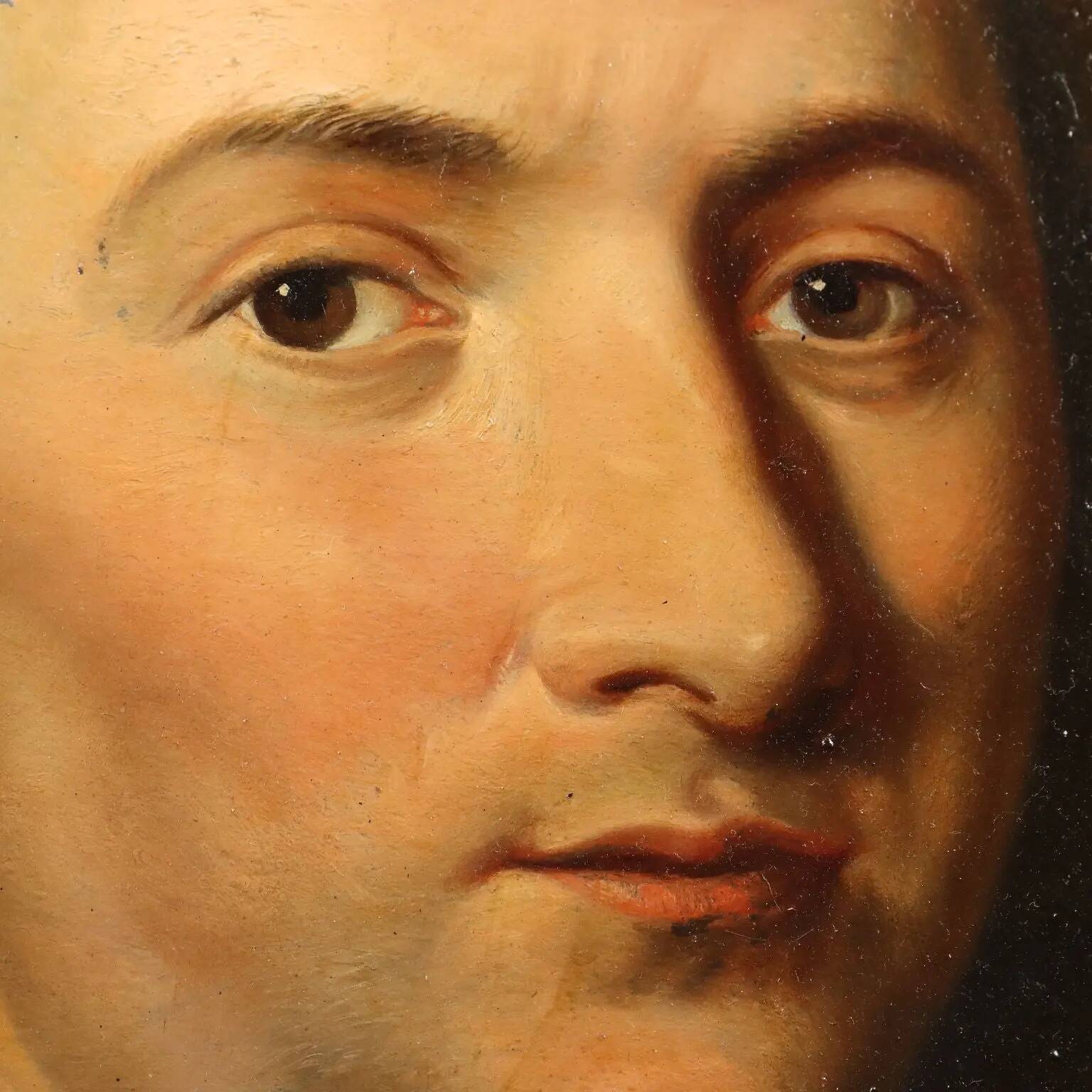 Ancient painting, portrait of Petrus Camper, oil on panel, 18th century.