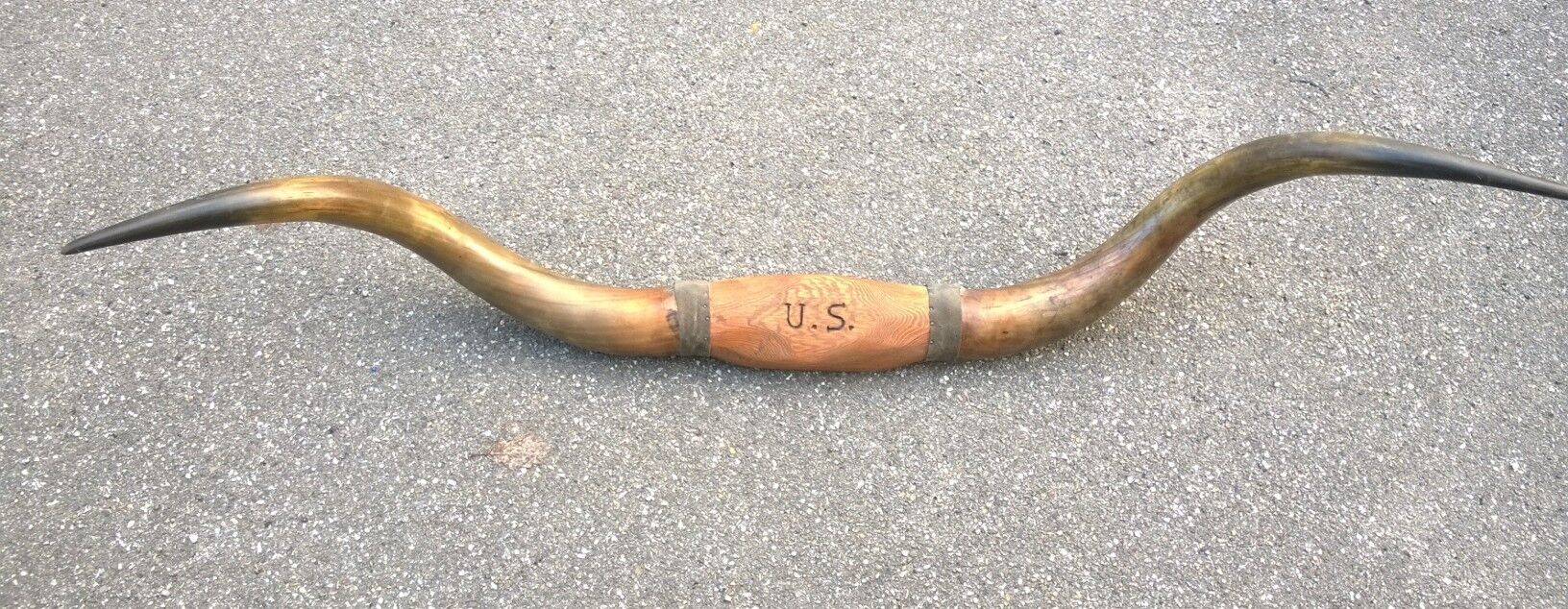 Trophée Texas longhorn