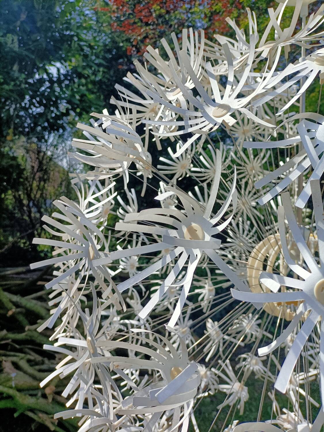 Dandelion pendant light