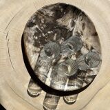 Very large empty pocket or dish in petrified wood
