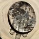 Very large empty pocket or dish in petrified wood