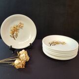 Set of 12 Magnolias hollow plates from Moulin des Loups