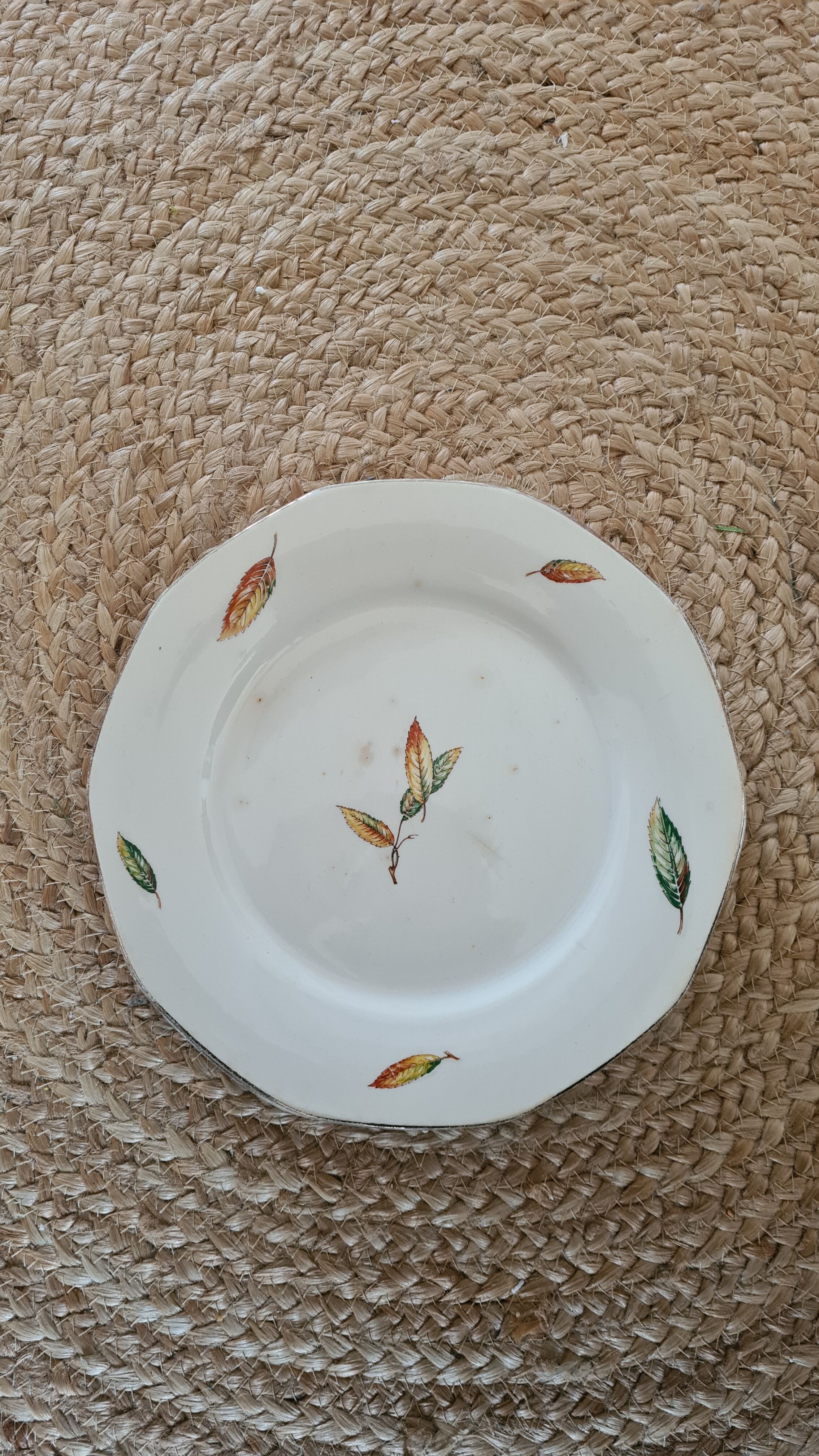 Flat plates opaque porcelain Digoin