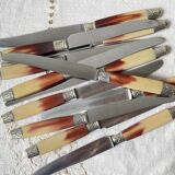 12 couteaux vintage bakélite Inox Pradel