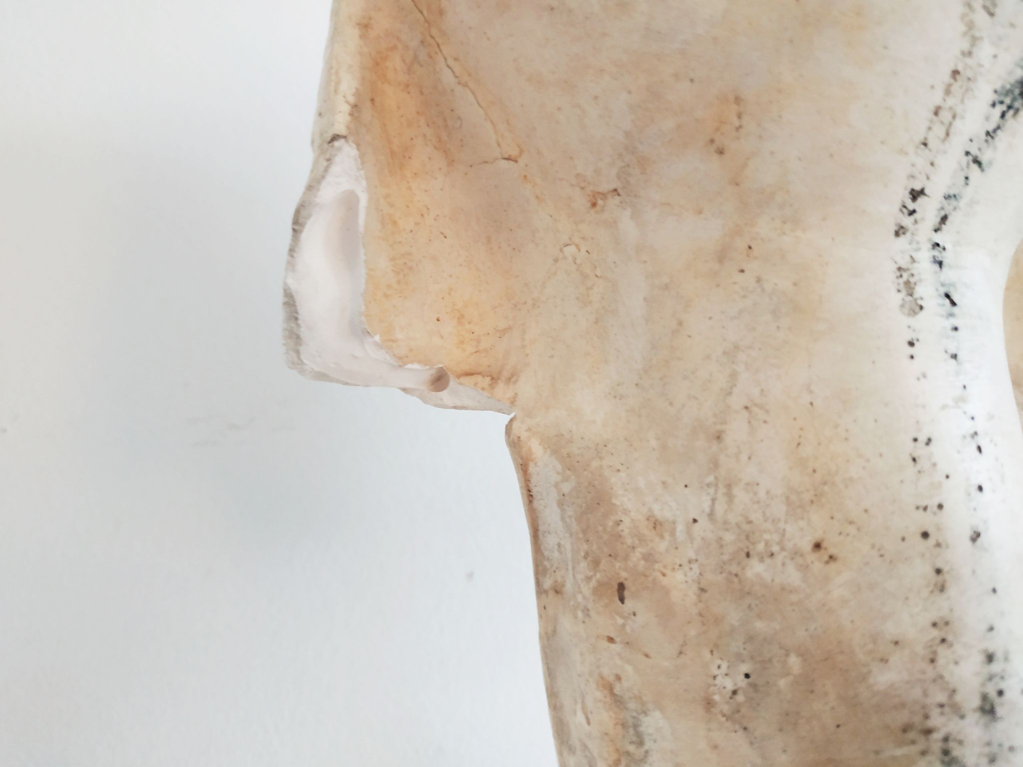 Bust of woman in plaster on pedestal with inscription