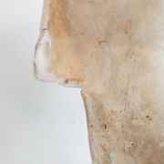 Bust of woman in plaster on pedestal with inscription
