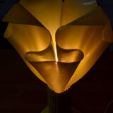 Lamp draped on column