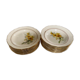 Lot of plates flat and hollow 10-10. "Margurites" by Gien. 1960s-70s.