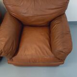 Pair of vintage Coquelicot lounge chairs by Tito Agnoli for Poltrona Frau in leather from the 70s