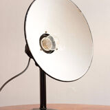 Industrial Czechoslovakian Adjustable Table Lamp, 1960s