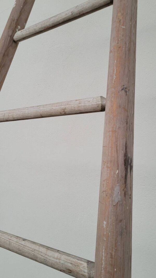 Échelle de maraîcher récolte fruitière en bois ancien -3m65