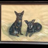 Portrait of dogs