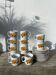 12 porcelain coffee cups with flowers, 1960s-1970s