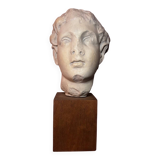 Bust, head of a young man - reproduction from the museum of Sens