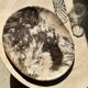 Very large empty pocket or petrified wooden flat