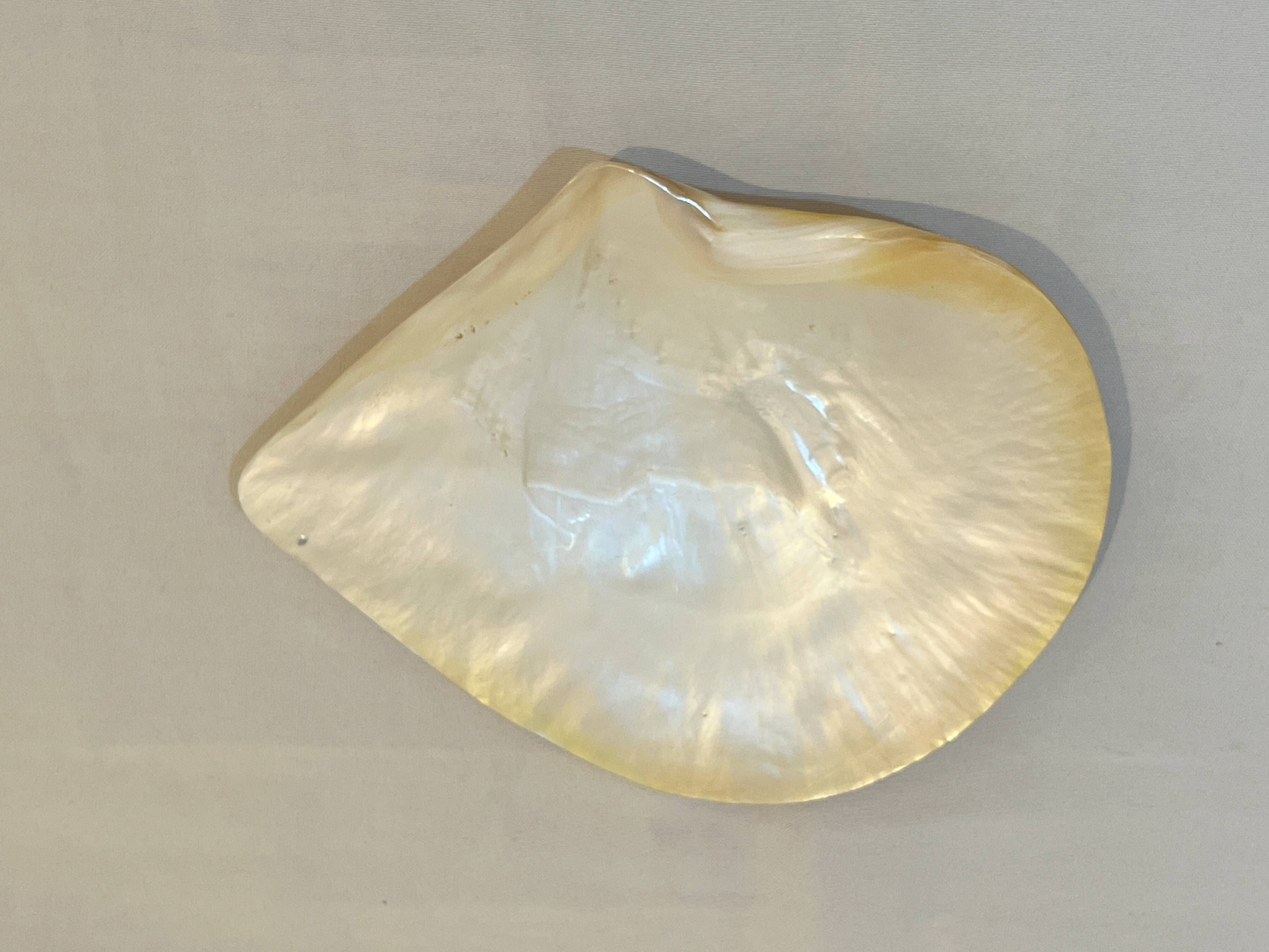 Large mother-of-pearl oyster natural pearl trinket dish from the 70s
