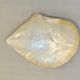 Large mother-of-pearl oyster natural pearl trinket dish from the 70s