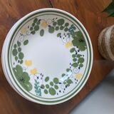 Assiettes creuses