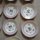 12 plates + 1 Digoin and Sarreguemines dish