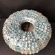 Vintage ceramic forming urchin - signed