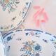 Antique oval Limoges plates
