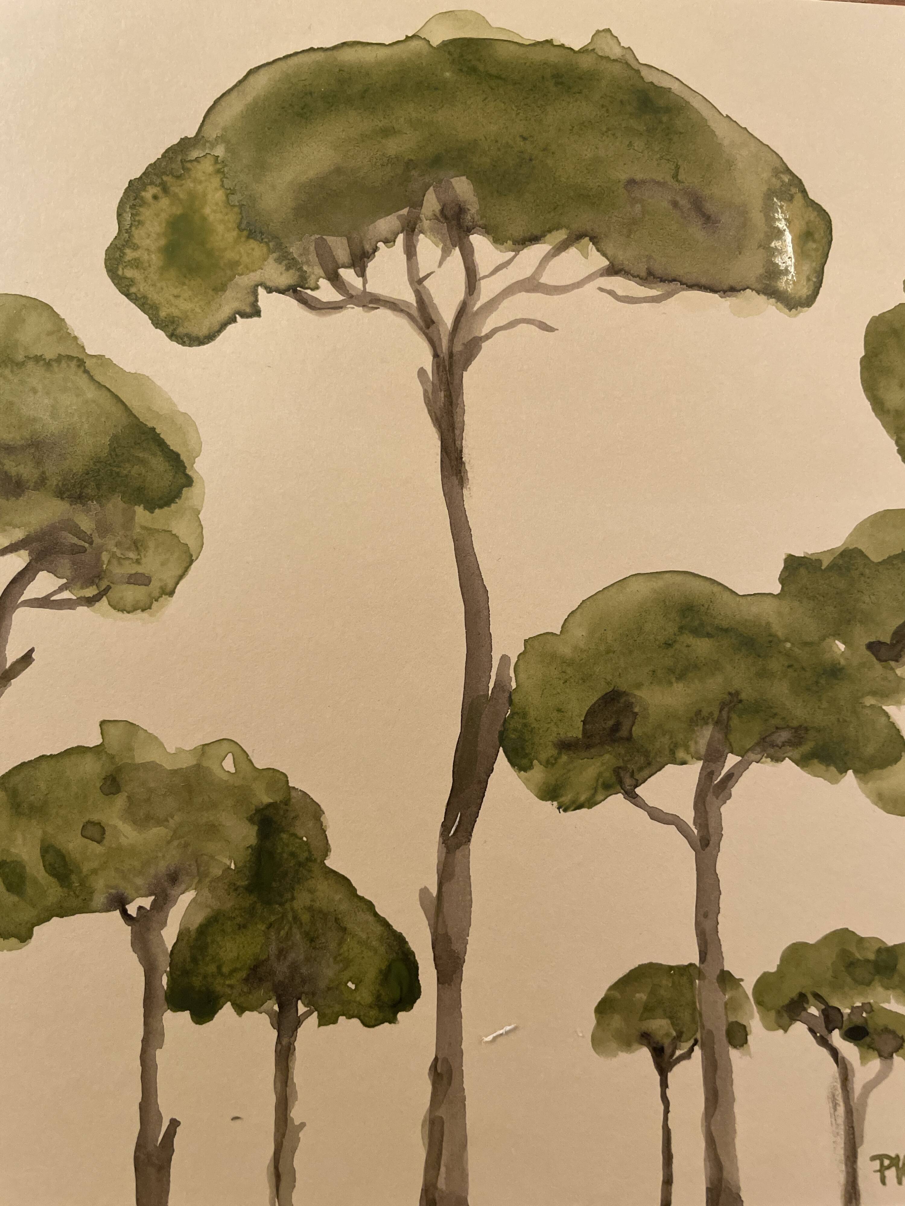Tableau signé aquarelle « pinède du Lubéron »